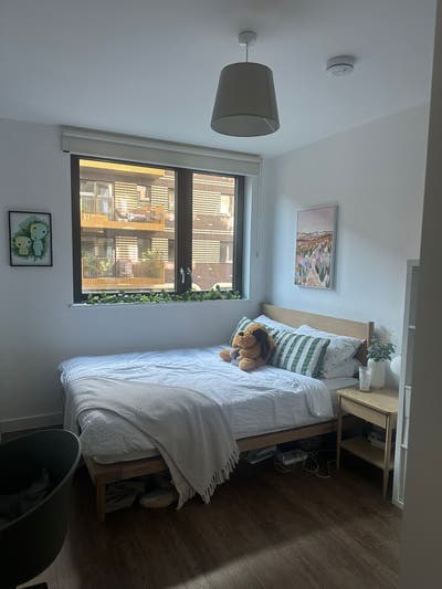 Large Double Room in Blackhorse Road 🌟 Main Photo