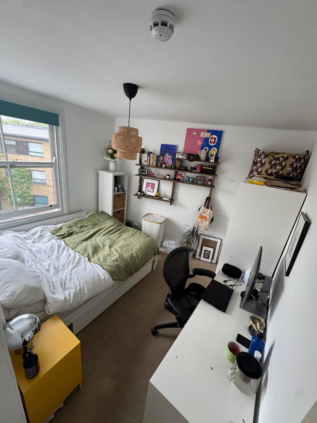 Bright Double near Columbia Road Flower Market Main Photo