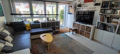 3 bed share looking for new house mates Main Photo