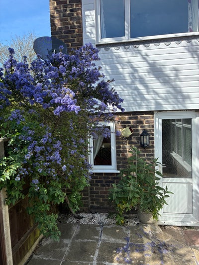 Annex(all bills incl).single occupancy &pound;1100/mth) Main Photo