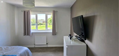 Room in modern property Main Photo