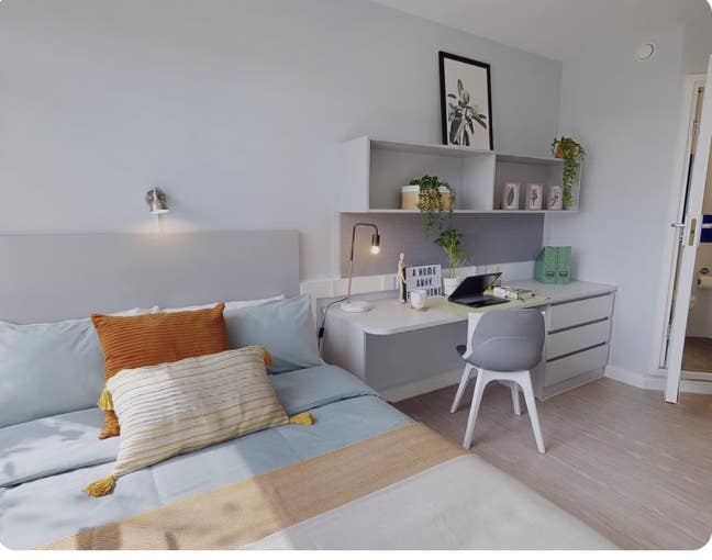 IQ summer tenancy take over Main Photo