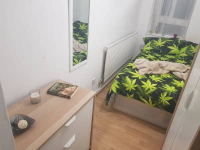 ⭐️Lovely Room /in Dalston Junction/Available Now⭐️ Main Photo