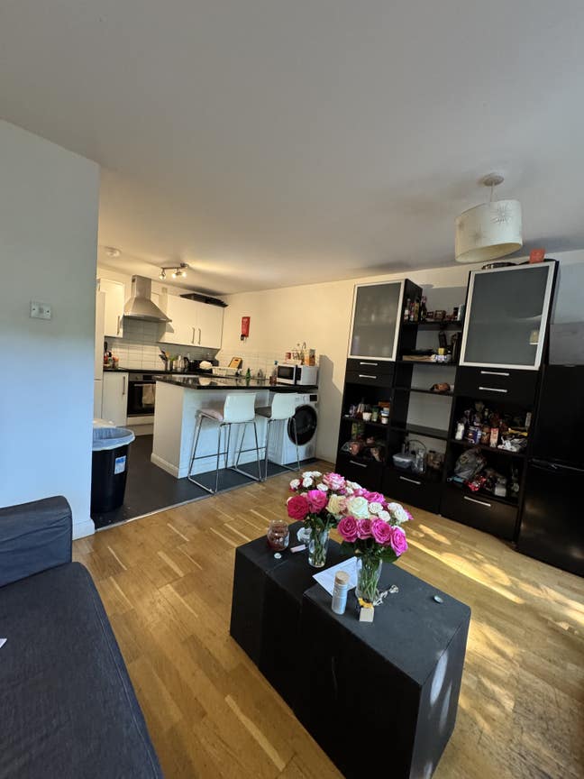 Beautiful room in friendly house, Shepherd's Bush  Main Photo