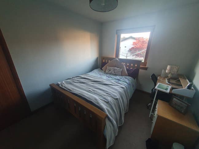 Connel room to let - short term over summer Main Photo