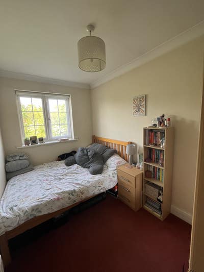 Small double available in friendly house share! Main Photo