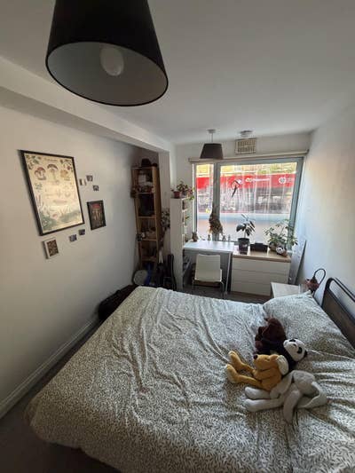 Sociable Flat looking for Flatmate! Double Room Main Photo