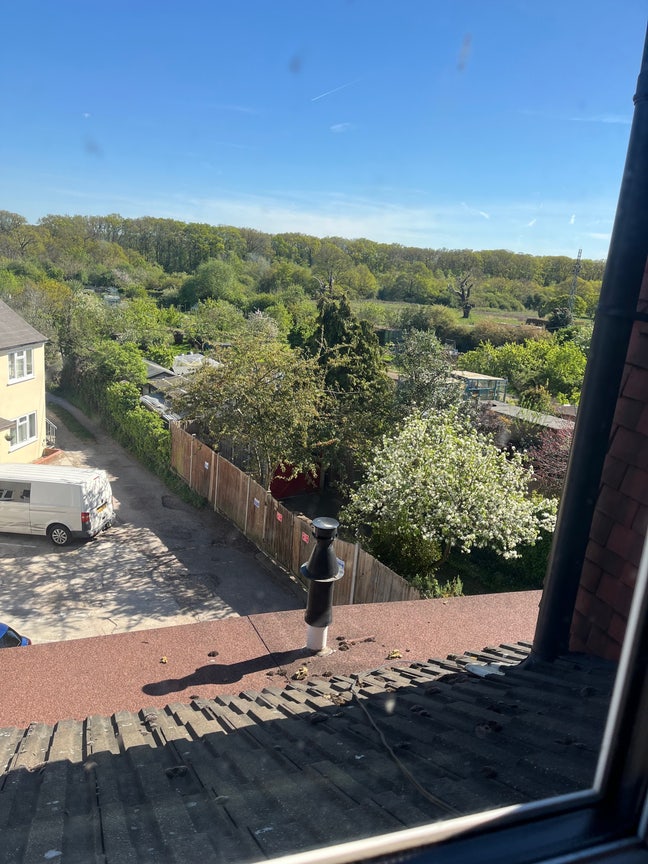 Double room available for single professional  Main Photo