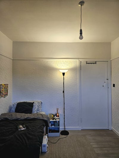 Looking for a Female Flatmate  Main Photo