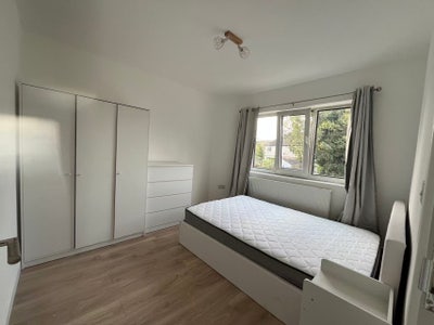 Bright new room to rent  Main Photo