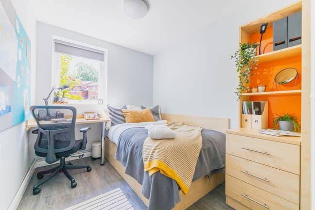 🌟 2.5-Month Sublet – Beech Garden Main Photo