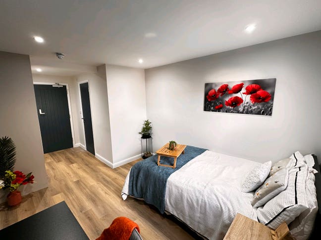Large Bedroom in Brand New  Professional Hmo  Main Photo