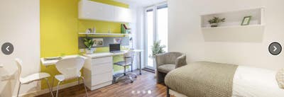 Discounted Griffon Studio Takeover   Main Photo