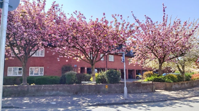 A Spacious Double Room in Colliers Wood &pound;750 PCM  Main Photo