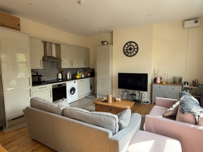 Looking for a lovely flatmate!  Main Photo