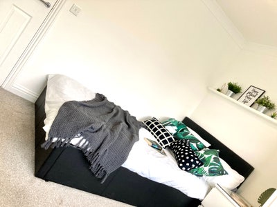 This Room Is Perfect for You and Available Now 💚✅ Main Photo