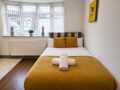 Stylish Studio Room |All Bills Included Main Photo