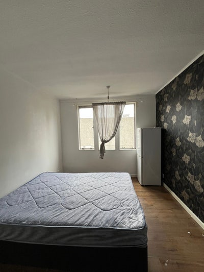Spacious Single room Available  Main Photo