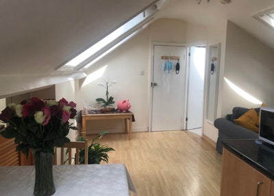 Spacious Large Studio Flat with Two Partition Room Main Photo