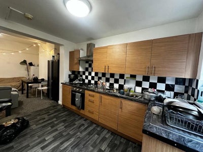 7 bed student house in Arboretum area  Main Photo