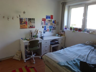 Subletting Room For Summer Main Photo