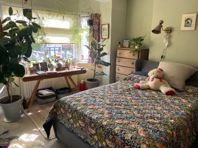 Double room for rent  Main Photo