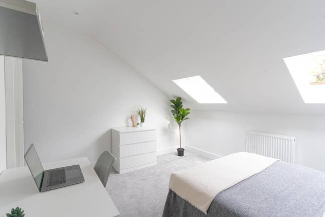Beautifull room in a shared house (Playfair Road) Main Photo