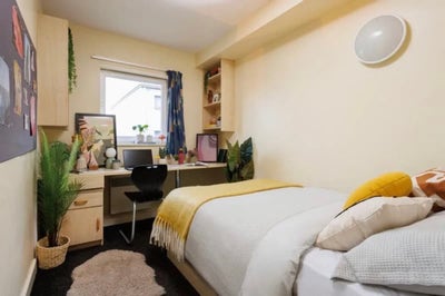 Room for rent in student accommodation Main Photo