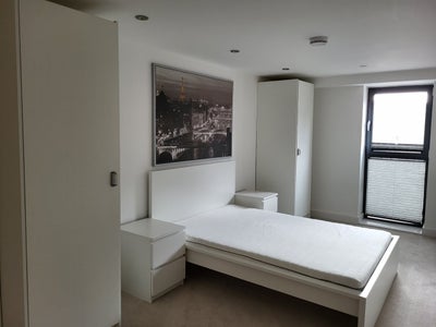 Elegant 1-Bedroom Apartment | Fully Furnished Main Photo