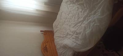 Room available immediately  Main Photo