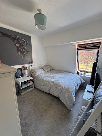 Double Room in Wimbledon house with Garden Main Photo