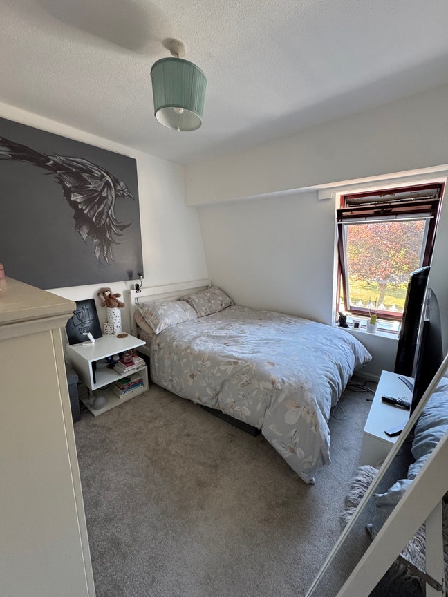 Double Room in Wimbledon house with Garden Main Photo