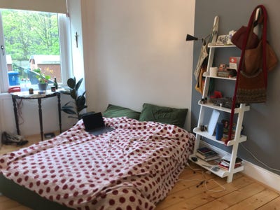 Room in Flat with two lovely girls and a cat! Main Photo