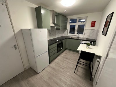 🏡🔥 Modern 2 Bedroom Flat to Let in Neasden  Main Photo