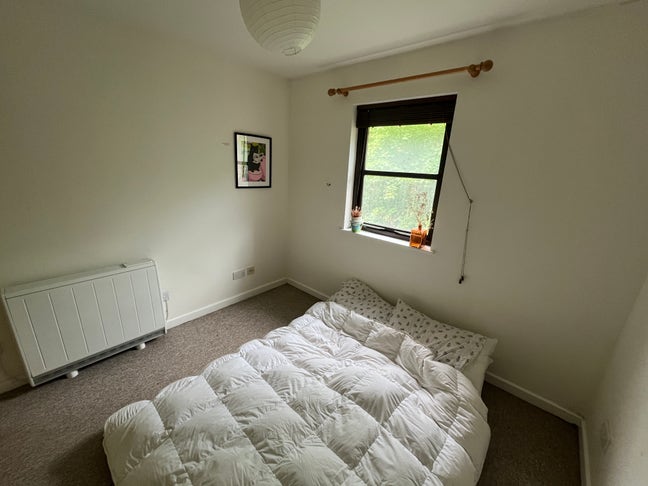 Double room in BS5 Main Photo
