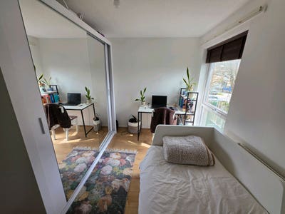 Bright double room for rent in cosy house. Main Photo