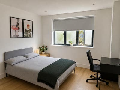 Private double room Willesden Green Main Photo