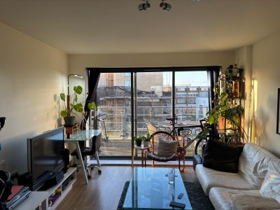 En-suite available in Mile End beginning June Main Photo