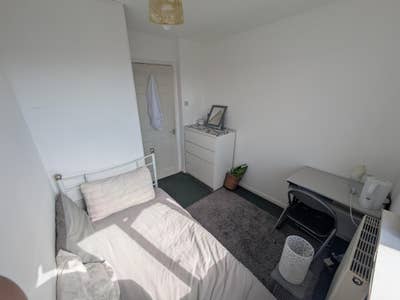 Single room  Main Photo