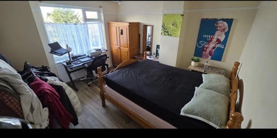 Bright Double Room available  Main Photo