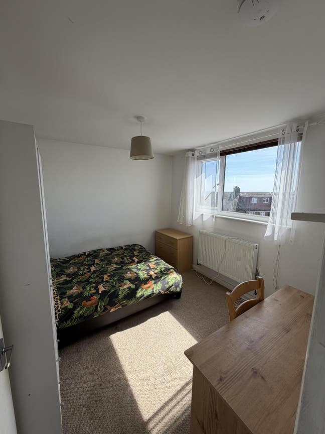 Summer let - double room available in Hove Main Photo