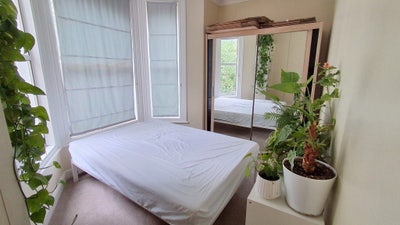 Lovely bedroom in Acton Main Photo