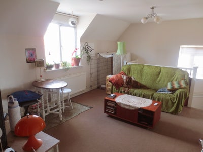 Room in 2 bed flat with dog Main Photo