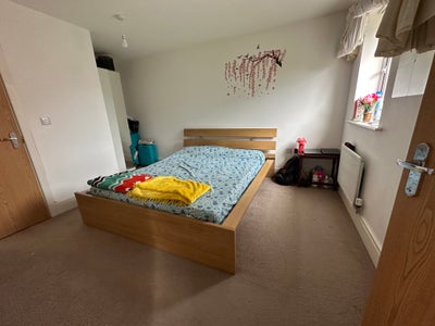 Private Ensuite Room available for female tenant. Main Photo