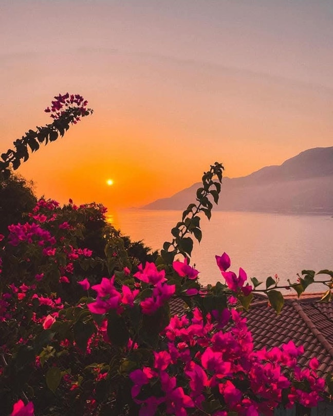Cabin Crew Looking for house share  Main Photo