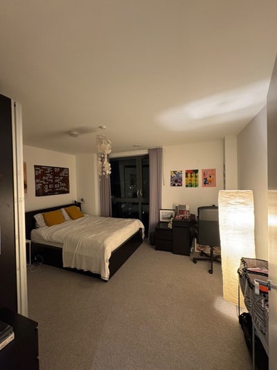 Huge double available in gorg penthouse Mile End  Main Photo