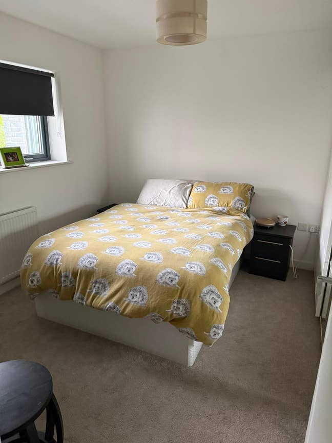 Bedroom in Spacious Flat Mile End Flat Main Photo
