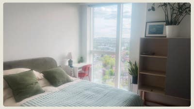 All bills + weekly cleaner - Room with a VIEW Main Photo