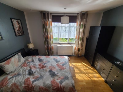 Cosy, friendly and clean flat..  Main Photo