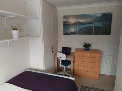 Ensuite room in Cherry Hinton Main Photo